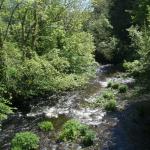 River Tay near Stradbally Cove