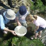 Looking for sea shore animals at Ballyvooney