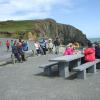 Irish Wildlife Trust walk May 2012