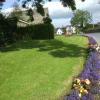 A splash of colour in a damp Irish summer, July 2012